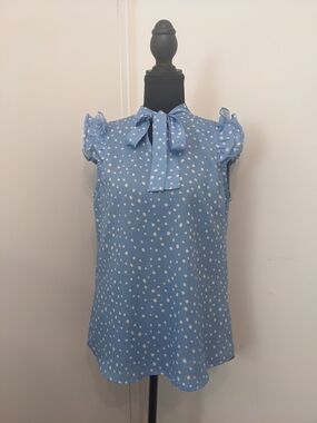 Light Blue Polka Dot Blouse with Tie-Neck and Double Ruffle Sleeves